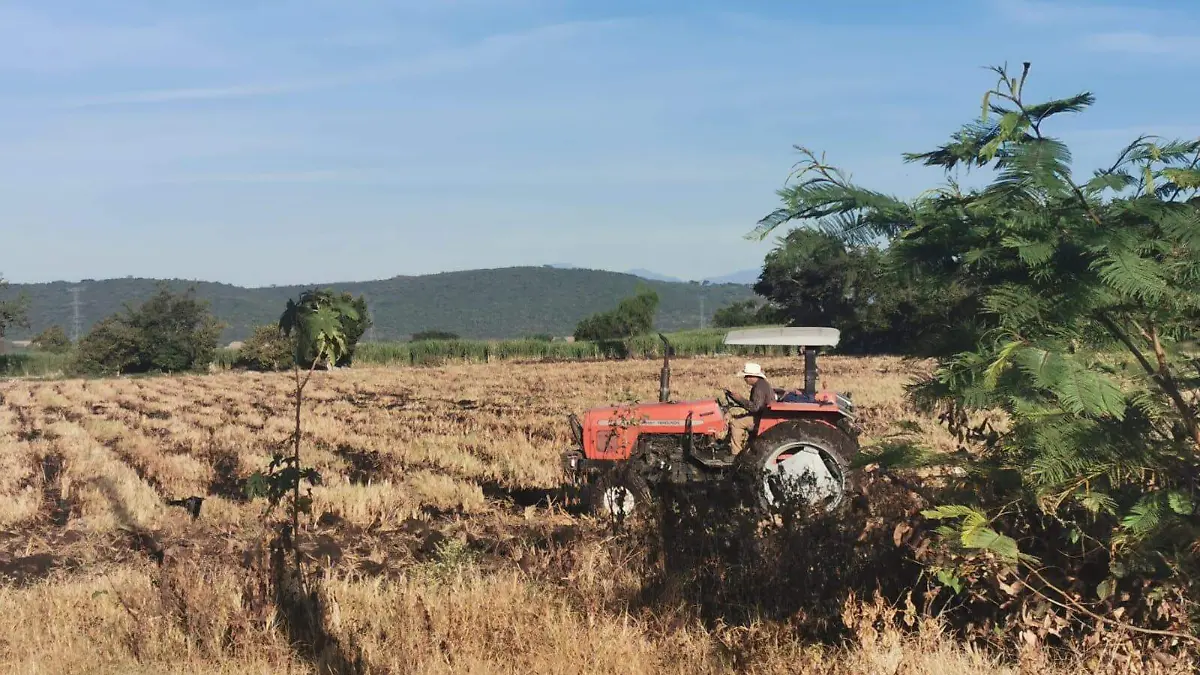 agroquímicos-campo (1)